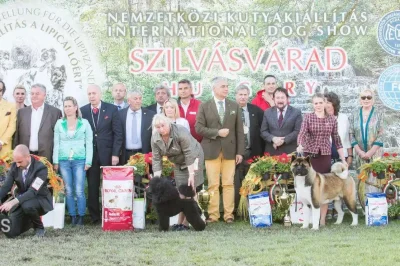 CACIB Nemzetközi Kutyakiállítás Szilvásvárad 2018 02 B-Sound