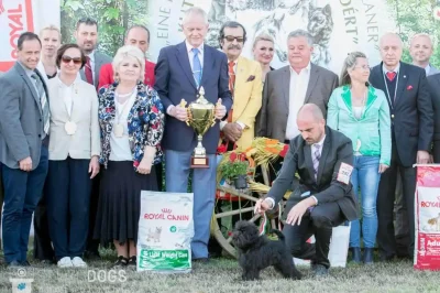 CACIB Nemzetközi Kutyakiállítás Szilvásvárad 2018 03 B-Sound