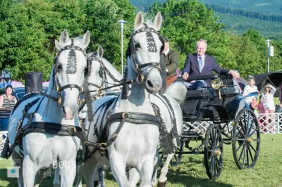 CACIB Nemzetközi Kutyakiállítás Szilvásvárad 2018 04 B-Sound