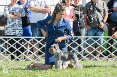 CACIB Nemzetközi Kutyakiállítás Szilvásvárad 2018 05 B-Sound