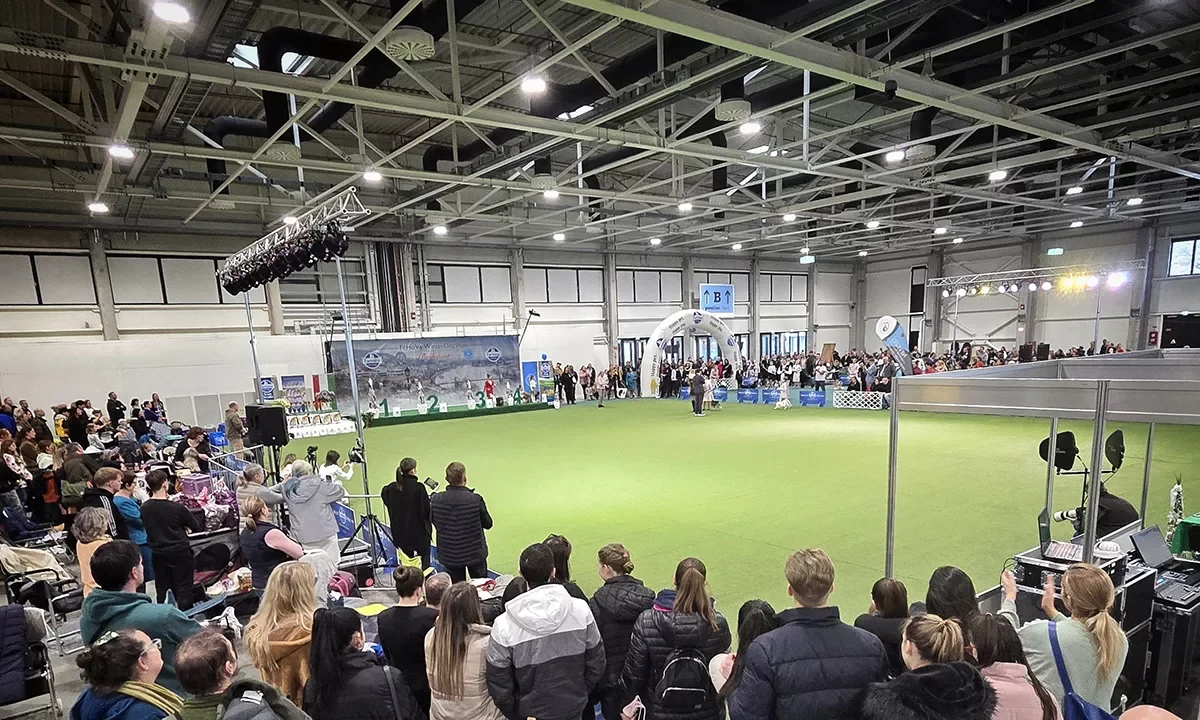 FeHoVa 2025 – WinterDogShow – CACIB kutyakiállítás 03 B-SOUND hangosítás